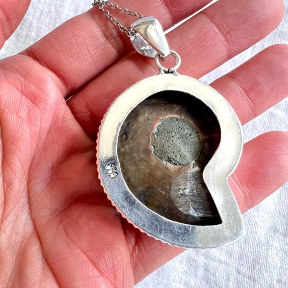 Elegant Silver Ammonite Pendant Necklace - Picture 5 of 6